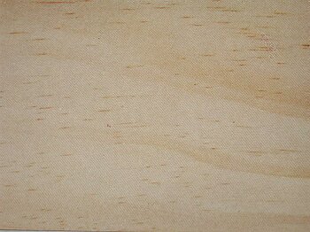 Wood of Pinus strobus (bois de Pin weymouth)