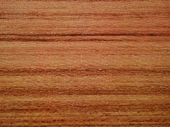 Tectona grandis (bois de teck) wood sample
