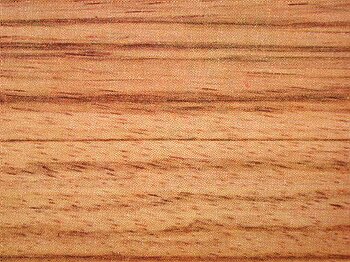 Microberlinia brazzavillensis, Microberlinia bisulcata (zebrano wood) bois de zingana 