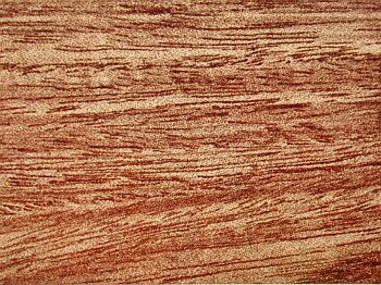 Tarrietia simplicifolia, Tarrietia javanica (photo of wood Mengklulang)