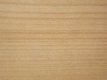 Cerasus avium (Merisier, cherry wood)