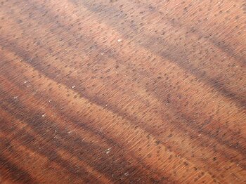 Juglas regia (Noyer commun), photo de bois