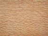 Silky Oak