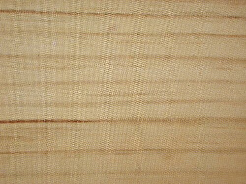 Pin sylvestre